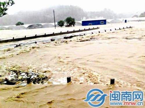 寧化大片農(nóng)田被淹，種植煙葉的農(nóng)民損失重