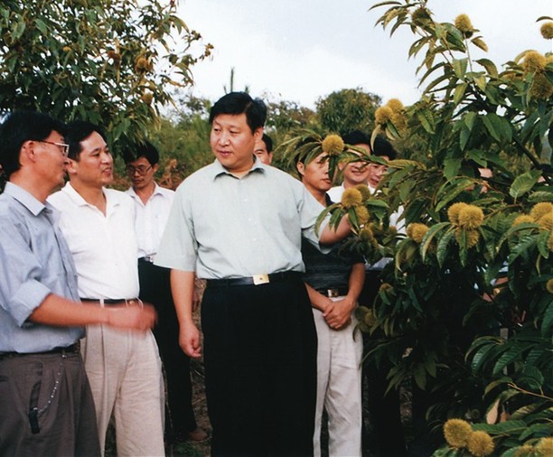 2000年9月，習(xí)近平總書記（時(shí)任福建省委副書記、省長(zhǎng)）到掛鉤幫扶點(diǎn)南平市政和縣調(diào)研。（資料圖片）